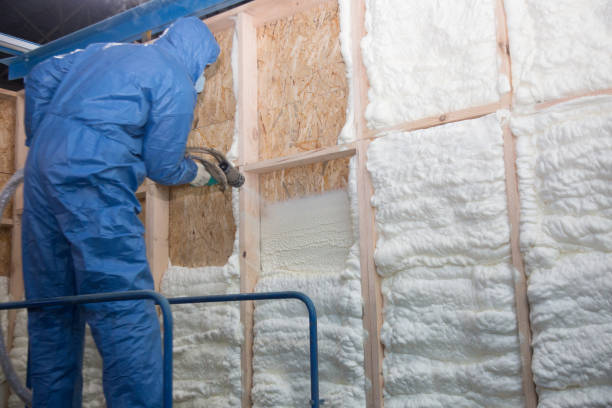 Best Spray Foam Insulation  in Tucson Mountains, AZ